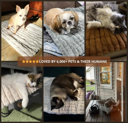 Self Warming Pet Mat