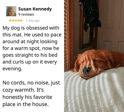 Self Warming Pet Mat